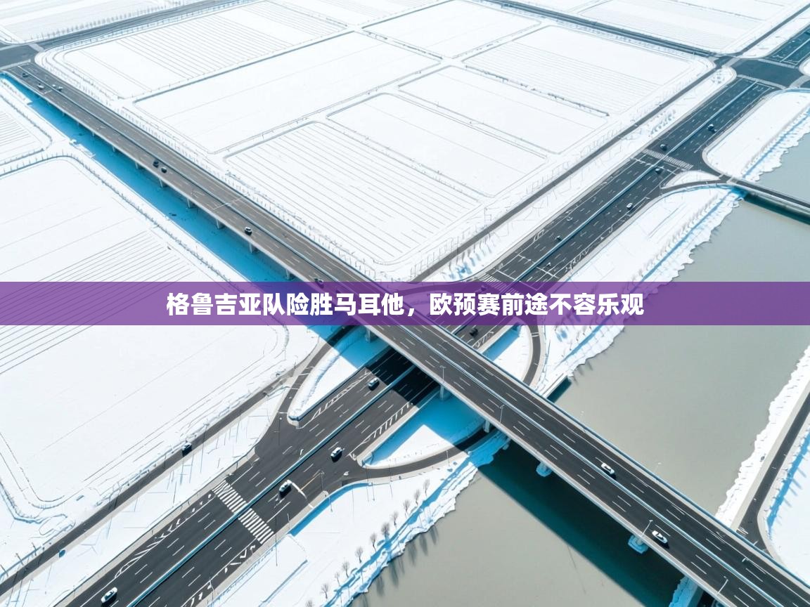 格鲁吉亚队险胜马耳他，欧预赛前途不容乐观  第1张