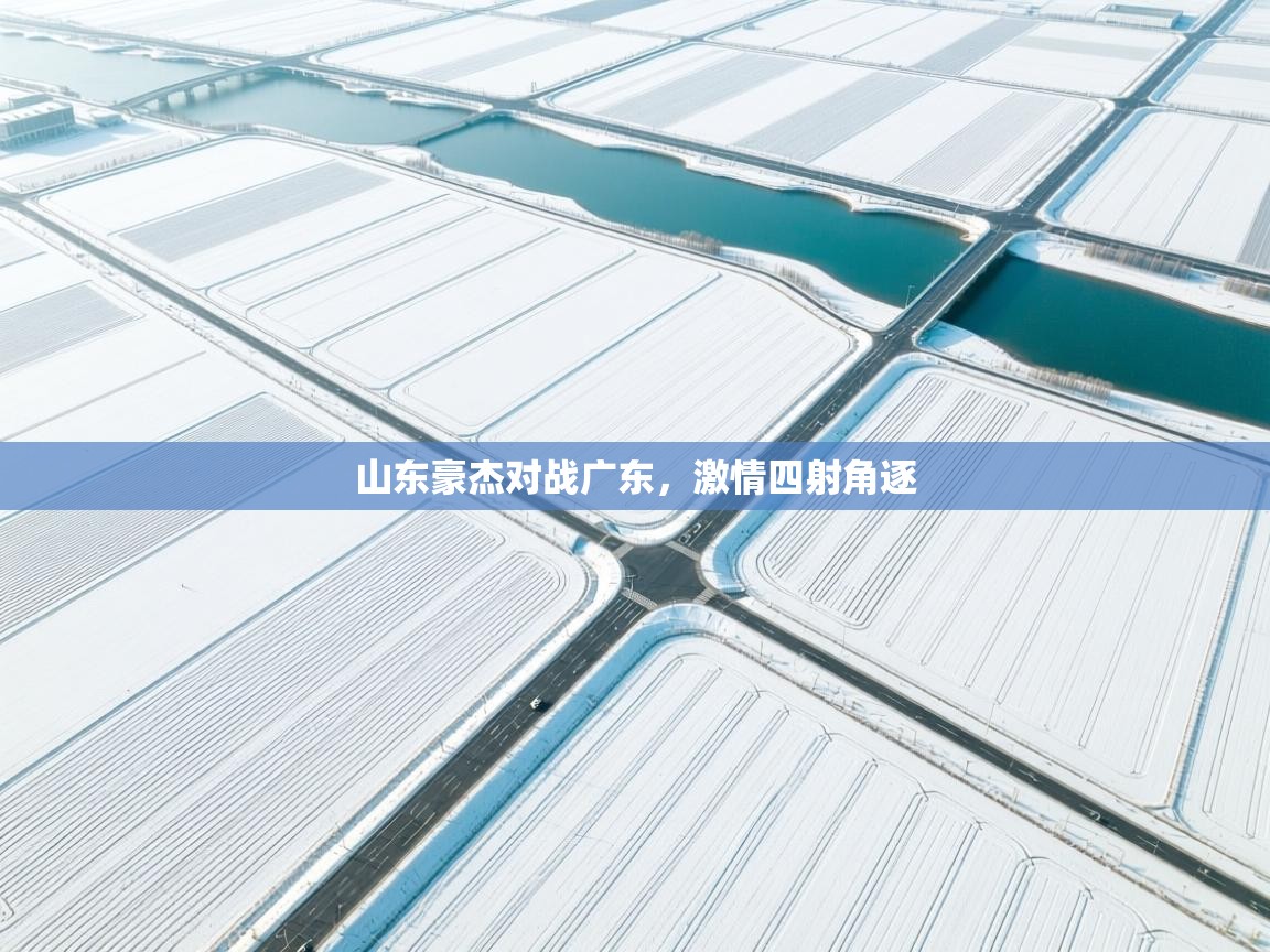 山东豪杰对战广东，激情四射角逐