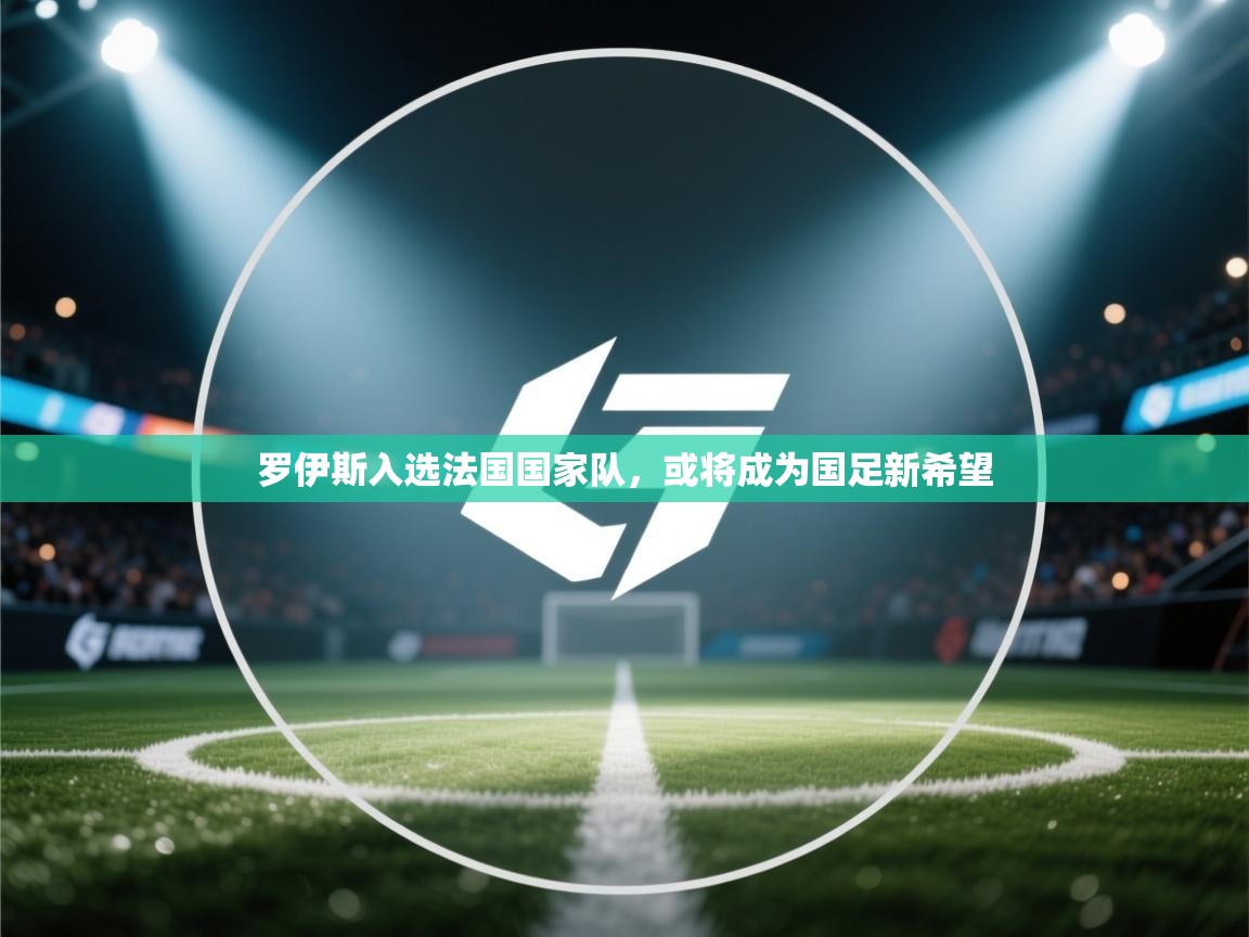 罗伊斯入选法国国家队，或将成为国足新希望  第1张