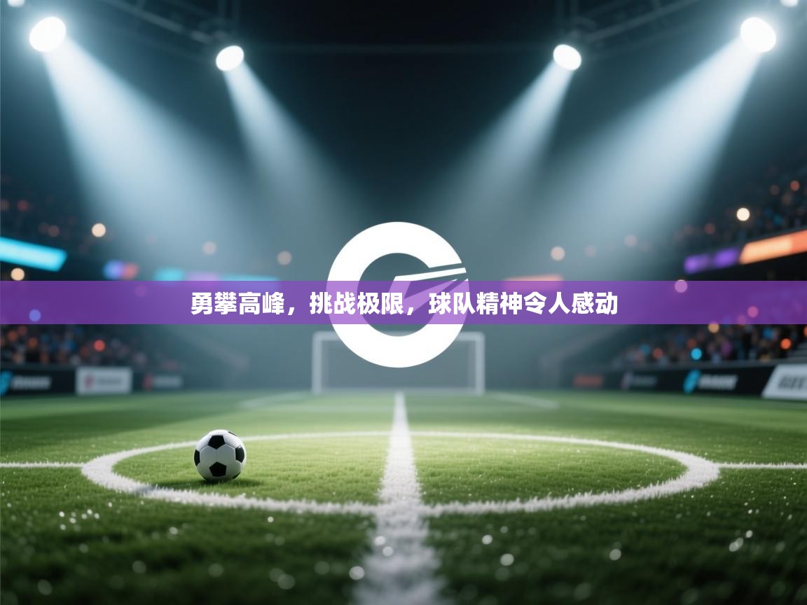 勇攀高峰，挑战极限，球队精神令人感动  第2张