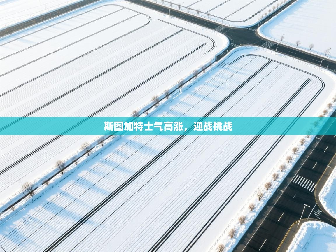 斯图加特士气高涨，迎战挑战