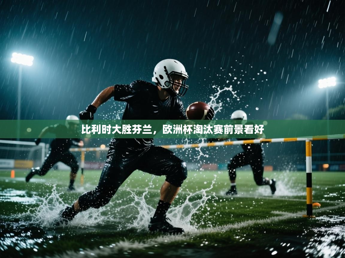 比利时大胜芬兰，欧洲杯淘汰赛前景看好  第1张