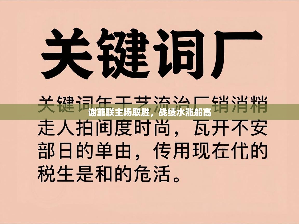 谢菲联主场取胜,战绩水涨船高 第1张