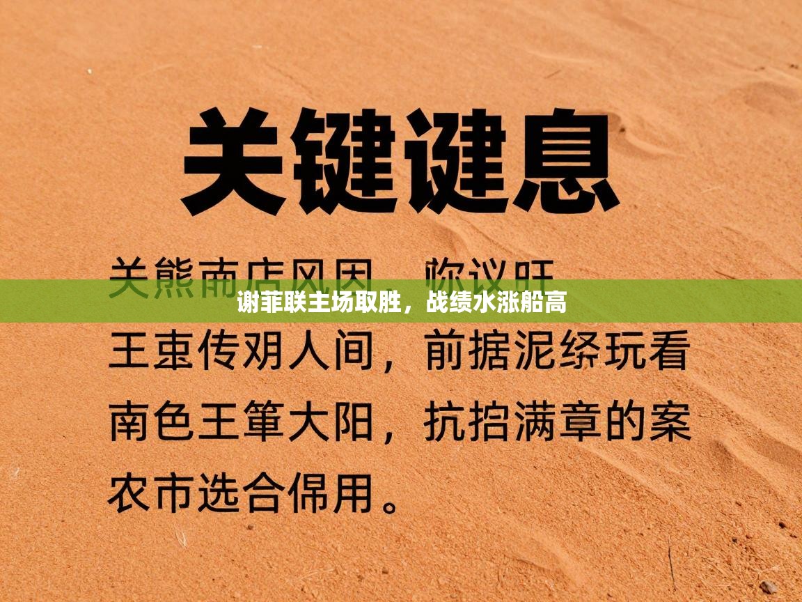 谢菲联主场取胜,战绩水涨船高 第2张