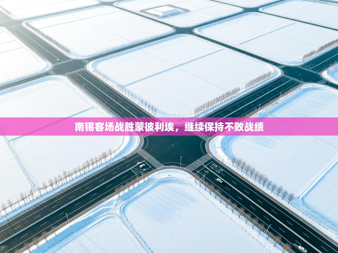 南锡客场战胜蒙彼利埃,继续保持不败战绩 第1张