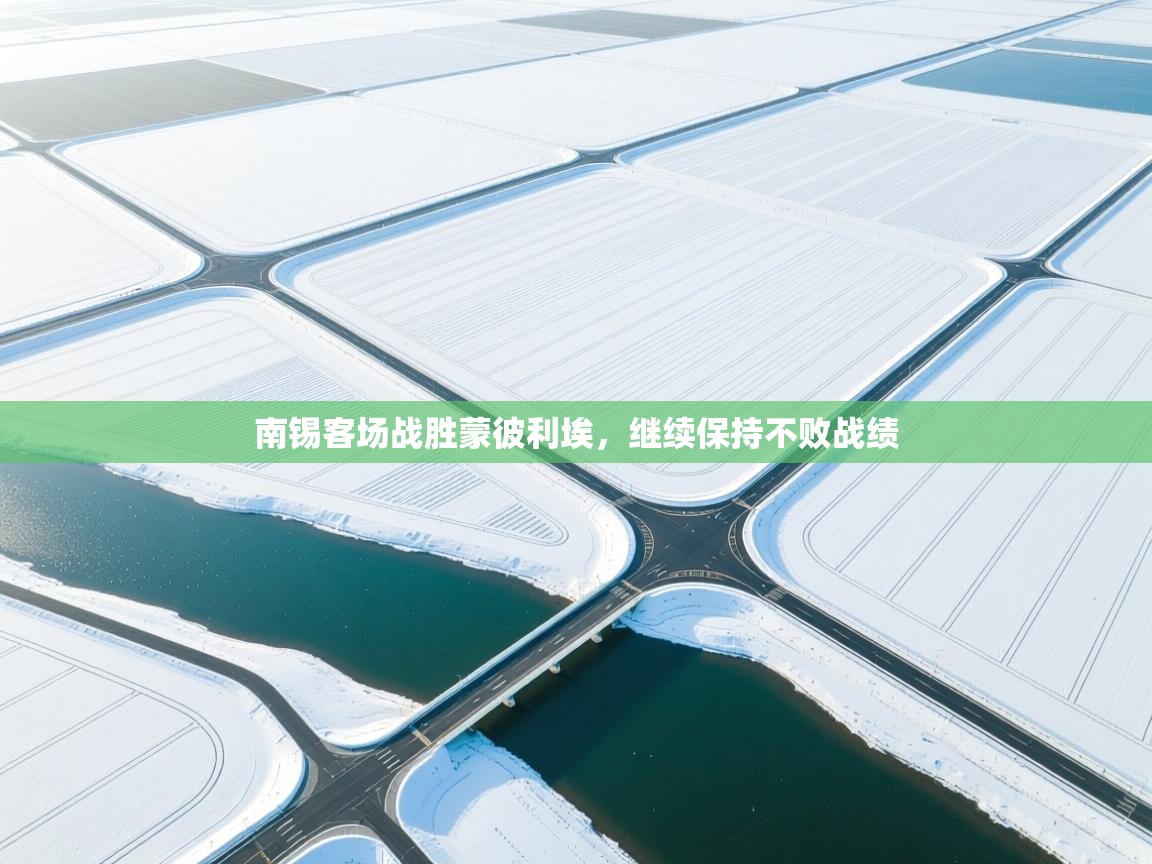 南锡客场战胜蒙彼利埃,继续保持不败战绩 第2张