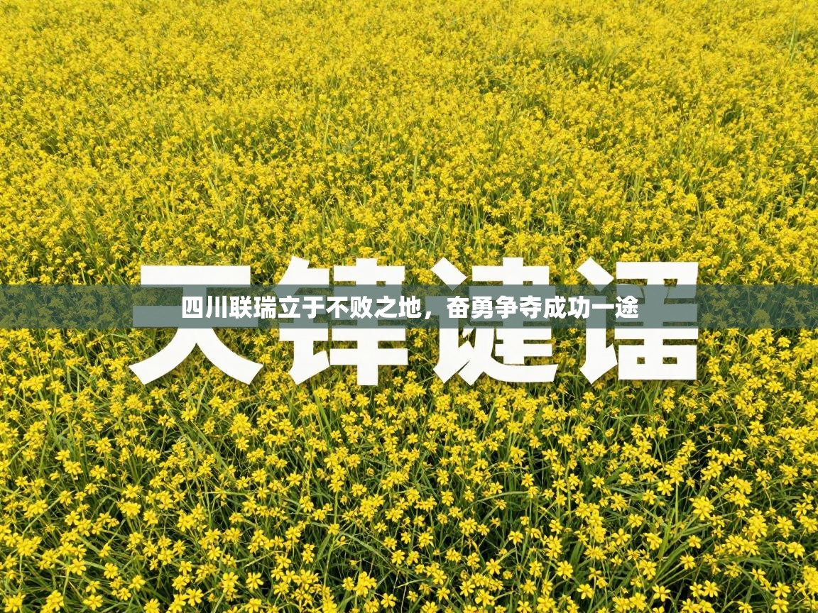 四川联瑞立于不败之地,奋勇争夺成功一途 第2张